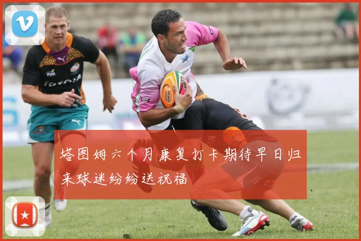 塔图姆六个月康复打卡期待早日归来球迷纷纷送祝福