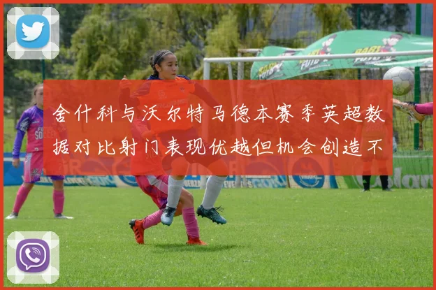 舍什科与沃尔特马德本赛季英超数据对比射门表现优越但机会创造不足