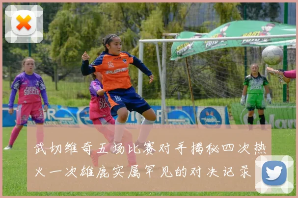 武切维奇五场比赛对手揭秘四次热火一次雄鹿实属罕见的对决记录