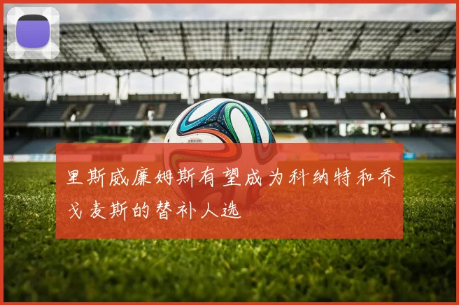 里斯威廉姆斯有望成为科纳特和乔戈麦斯的替补人选